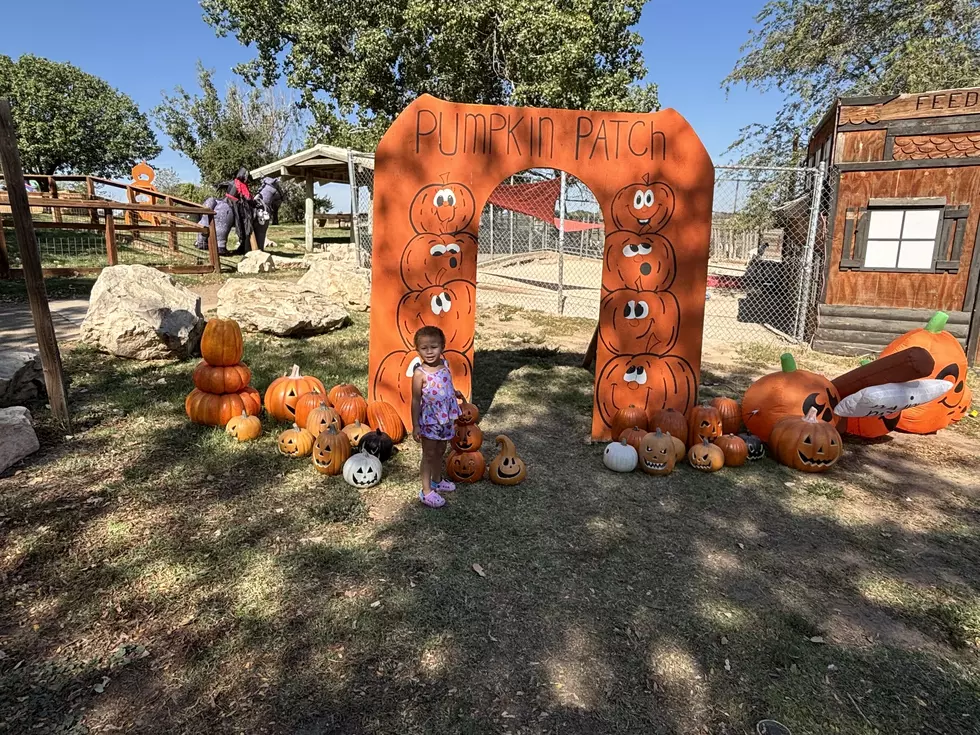 Trick-or-Treat With Tigers: Amarillo Zoo’s Boo at the Zoo 2025