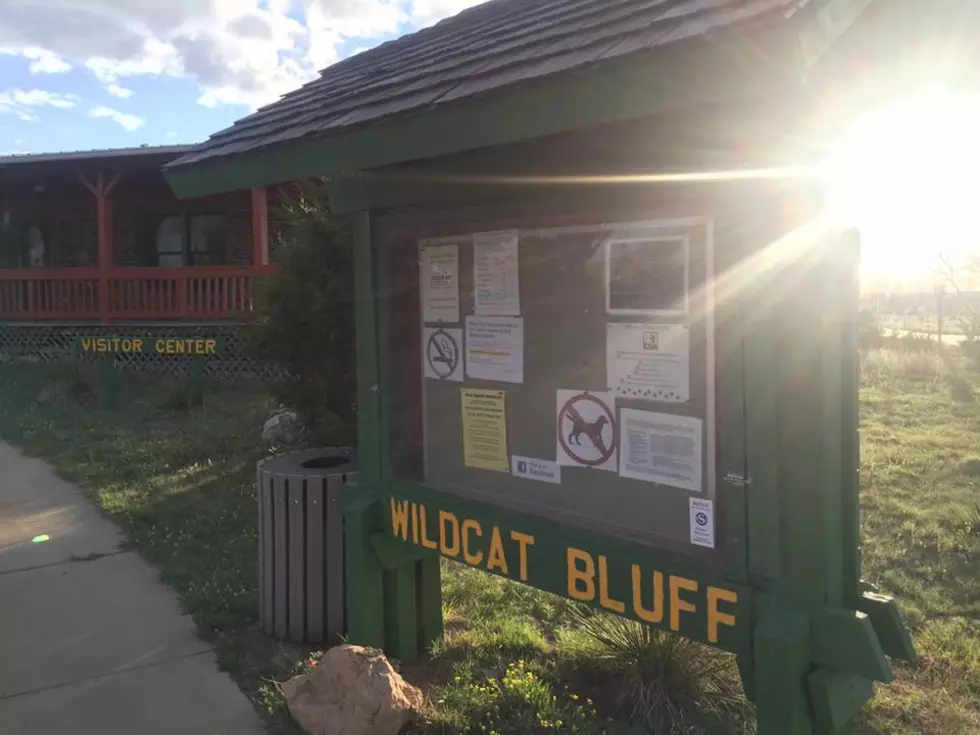 Discovery Center/Wildcat Bluff Offer Fun Wildlife Weekend Learning for Kids